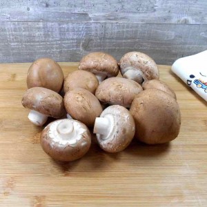 Champignon Brun