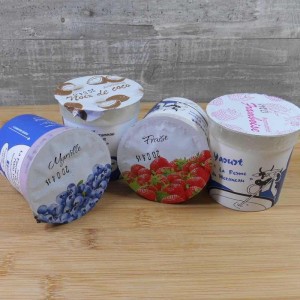 Yaourts Myrtille Coco Fraise Framboise