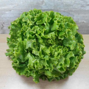 Salade Batavia