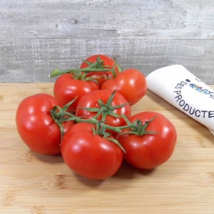 Tomate ronde grappe