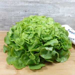 Salade Feuille de chêne