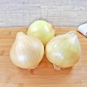 Oignon Blanc