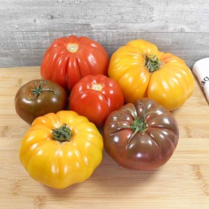 Tomate ancienne
