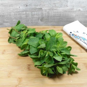 Menthe